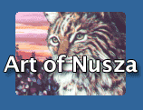 Art of Nusza